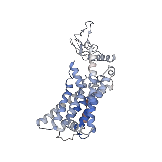 22962_7knt_R_v1-2
CryoEM structure of the apo-CGRP receptor in a detergent micelle