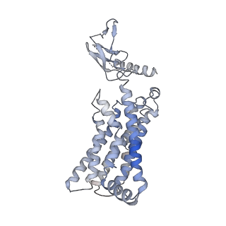 22963_7knu_R_v1-2
CryoEM structure of the CGRP receptor with bound CGRP peptide in a detergent micelle