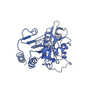 22973_7koe_B_v1-1
Electron bifurcating flavoprotein Fix/EtfABCX