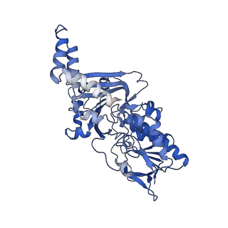22973_7koe_C_v1-0
Electron bifurcating flavoprotein Fix/EtfABCX