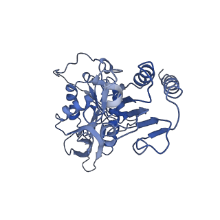 22973_7koe_F_v1-0
Electron bifurcating flavoprotein Fix/EtfABCX