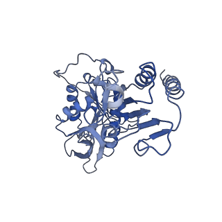 22973_7koe_F_v1-1
Electron bifurcating flavoprotein Fix/EtfABCX