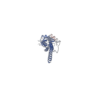 22980_7koq_C_v2-1
Alpha-7 nicotinic acetylcholine receptor bound to epibatidine in a desensitized state