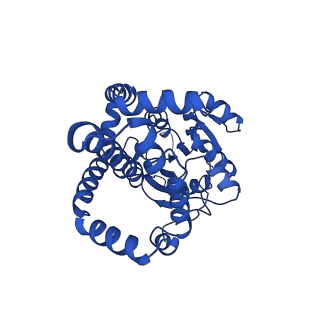0742_6kpa_B_v1-0
277 K cryoEM structure of Sso-KARI in complex with Mg2+, NADH and CPD