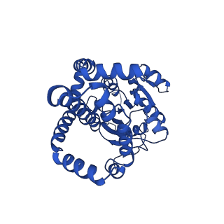 0742_6kpa_B_v1-1
277 K cryoEM structure of Sso-KARI in complex with Mg2+, NADH and CPD