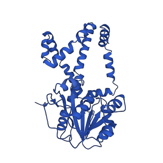 0742_6kpa_C_v1-1
277 K cryoEM structure of Sso-KARI in complex with Mg2+, NADH and CPD