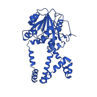 0742_6kpa_D_v1-1
277 K cryoEM structure of Sso-KARI in complex with Mg2+, NADH and CPD