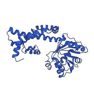 0742_6kpa_E_v1-1
277 K cryoEM structure of Sso-KARI in complex with Mg2+, NADH and CPD