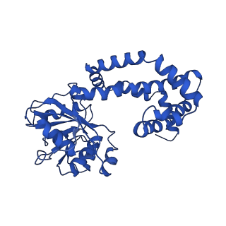 0742_6kpa_F_v1-1
277 K cryoEM structure of Sso-KARI in complex with Mg2+, NADH and CPD