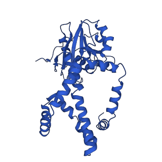 0742_6kpa_I_v1-1
277 K cryoEM structure of Sso-KARI in complex with Mg2+, NADH and CPD