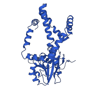 0742_6kpa_J_v1-1
277 K cryoEM structure of Sso-KARI in complex with Mg2+, NADH and CPD