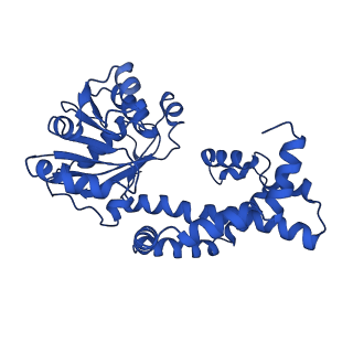 0742_6kpa_L_v1-1
277 K cryoEM structure of Sso-KARI in complex with Mg2+, NADH and CPD