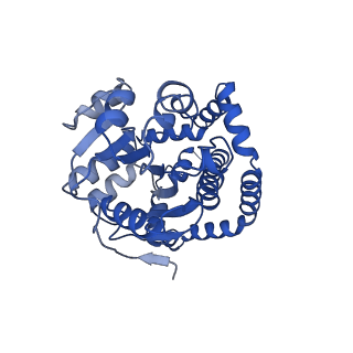 0743_6kpe_A_v1-1
343 K cryoEM structure of Sso-KARI in complex with Mg2+