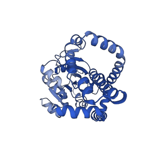 0743_6kpe_B_v1-0
343 K cryoEM structure of Sso-KARI in complex with Mg2+