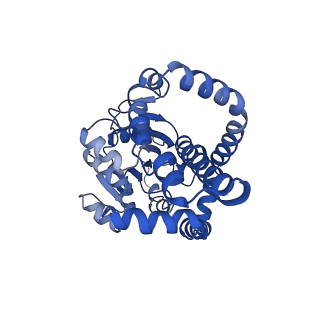 0743_6kpe_B_v1-1
343 K cryoEM structure of Sso-KARI in complex with Mg2+