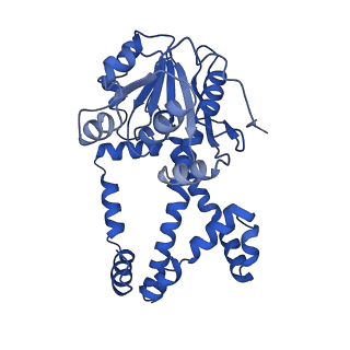 0743_6kpe_C_v1-0
343 K cryoEM structure of Sso-KARI in complex with Mg2+