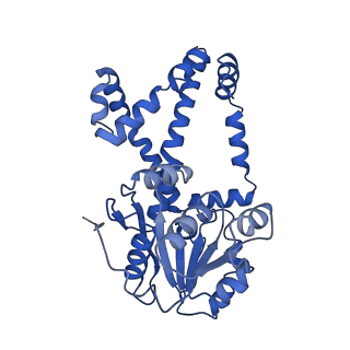 0743_6kpe_D_v1-1
343 K cryoEM structure of Sso-KARI in complex with Mg2+