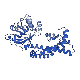 0743_6kpe_E_v1-1
343 K cryoEM structure of Sso-KARI in complex with Mg2+