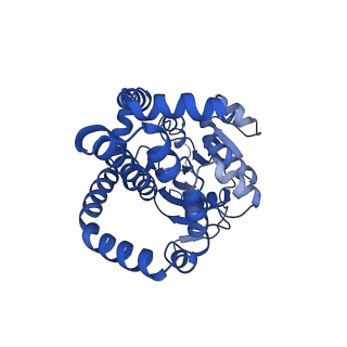 0743_6kpe_G_v1-0
343 K cryoEM structure of Sso-KARI in complex with Mg2+