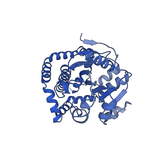 0743_6kpe_H_v1-0
343 K cryoEM structure of Sso-KARI in complex with Mg2+