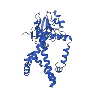 0743_6kpe_J_v1-1
343 K cryoEM structure of Sso-KARI in complex with Mg2+