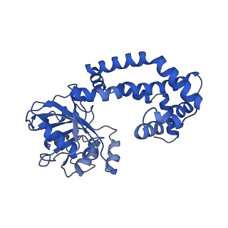 0743_6kpe_K_v1-1
343 K cryoEM structure of Sso-KARI in complex with Mg2+