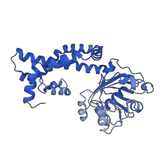 0743_6kpe_L_v1-1
343 K cryoEM structure of Sso-KARI in complex with Mg2+