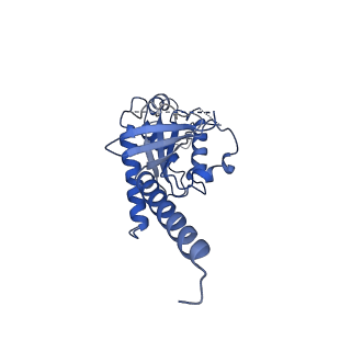 0744_6kpf_A_v1-1
Cryo-EM structure of a class A GPCR with G protein complex