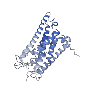 0744_6kpf_R_v1-1
Cryo-EM structure of a class A GPCR with G protein complex