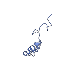 0745_6kpg_C_v1-1
Cryo-EM structure of CB1-G protein complex