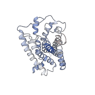 0745_6kpg_R_v1-1
Cryo-EM structure of CB1-G protein complex