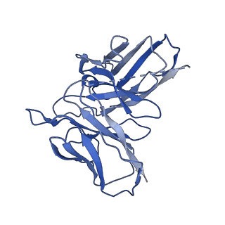 0745_6kpg_S_v1-1
Cryo-EM structure of CB1-G protein complex