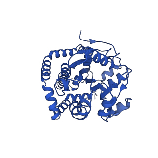 0748_6kpj_A_v1-1
298 K cryoEM structure of Sso-KARI in complex with Mg2+, NADH and CPD