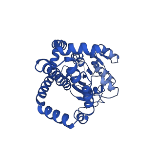 0748_6kpj_B_v1-1
298 K cryoEM structure of Sso-KARI in complex with Mg2+, NADH and CPD