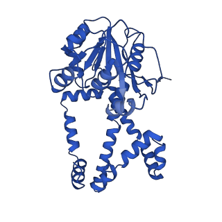 0748_6kpj_D_v1-1
298 K cryoEM structure of Sso-KARI in complex with Mg2+, NADH and CPD