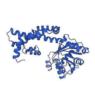 0748_6kpj_E_v1-1
298 K cryoEM structure of Sso-KARI in complex with Mg2+, NADH and CPD