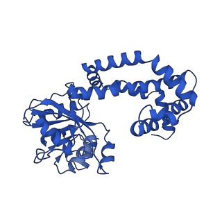 0748_6kpj_F_v1-1
298 K cryoEM structure of Sso-KARI in complex with Mg2+, NADH and CPD