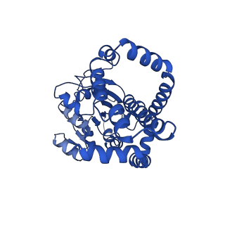 0748_6kpj_G_v1-1
298 K cryoEM structure of Sso-KARI in complex with Mg2+, NADH and CPD