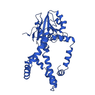 0748_6kpj_I_v1-1
298 K cryoEM structure of Sso-KARI in complex with Mg2+, NADH and CPD