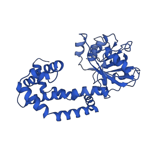 0748_6kpj_K_v1-1
298 K cryoEM structure of Sso-KARI in complex with Mg2+, NADH and CPD