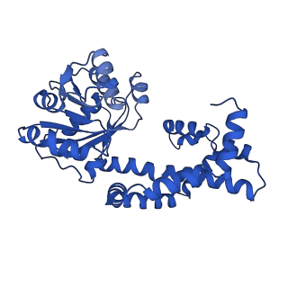 0748_6kpj_L_v1-1
298 K cryoEM structure of Sso-KARI in complex with Mg2+, NADH and CPD