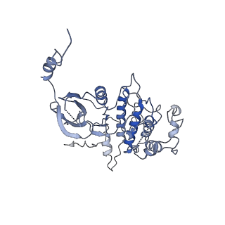 22989_7kpv_A_v1-1
Structure of kinase and Central lobes of yeast CKM