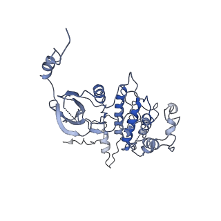 22989_7kpv_A_v1-2
Structure of kinase and Central lobes of yeast CKM