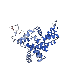 22989_7kpv_B_v1-1
Structure of kinase and Central lobes of yeast CKM