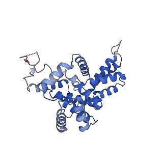 22989_7kpv_B_v1-2
Structure of kinase and Central lobes of yeast CKM