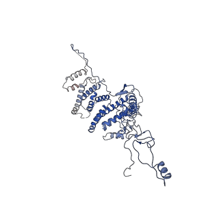 22989_7kpv_C_v1-1
Structure of kinase and Central lobes of yeast CKM
