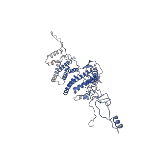 22989_7kpv_C_v1-2
Structure of kinase and Central lobes of yeast CKM