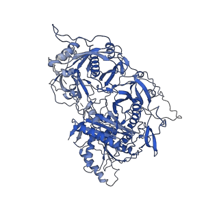 22989_7kpv_D_v1-1
Structure of kinase and Central lobes of yeast CKM