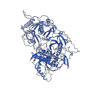 22989_7kpv_D_v1-2
Structure of kinase and Central lobes of yeast CKM