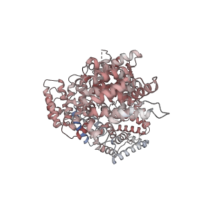 22990_7kpw_C_v1-1
Structure of the H-lobe of yeast CKM
